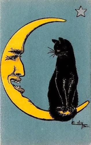 luna y gato