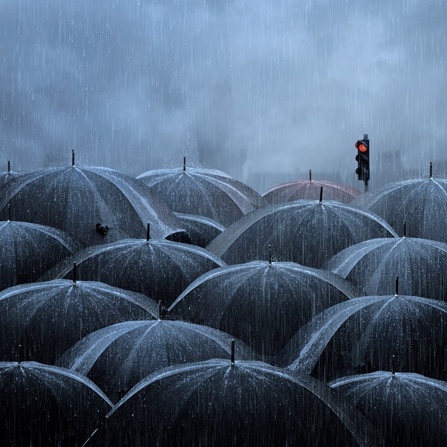 Creative or Not? 10 Photos Captured in the Rain