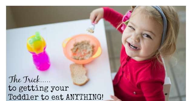 Learning And Exploring Through Play Fussy Eaters Toddlers learning-and-exploring-through-play-fussy-eaters-toddlers