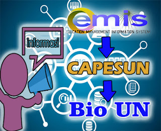 Emis Capesun