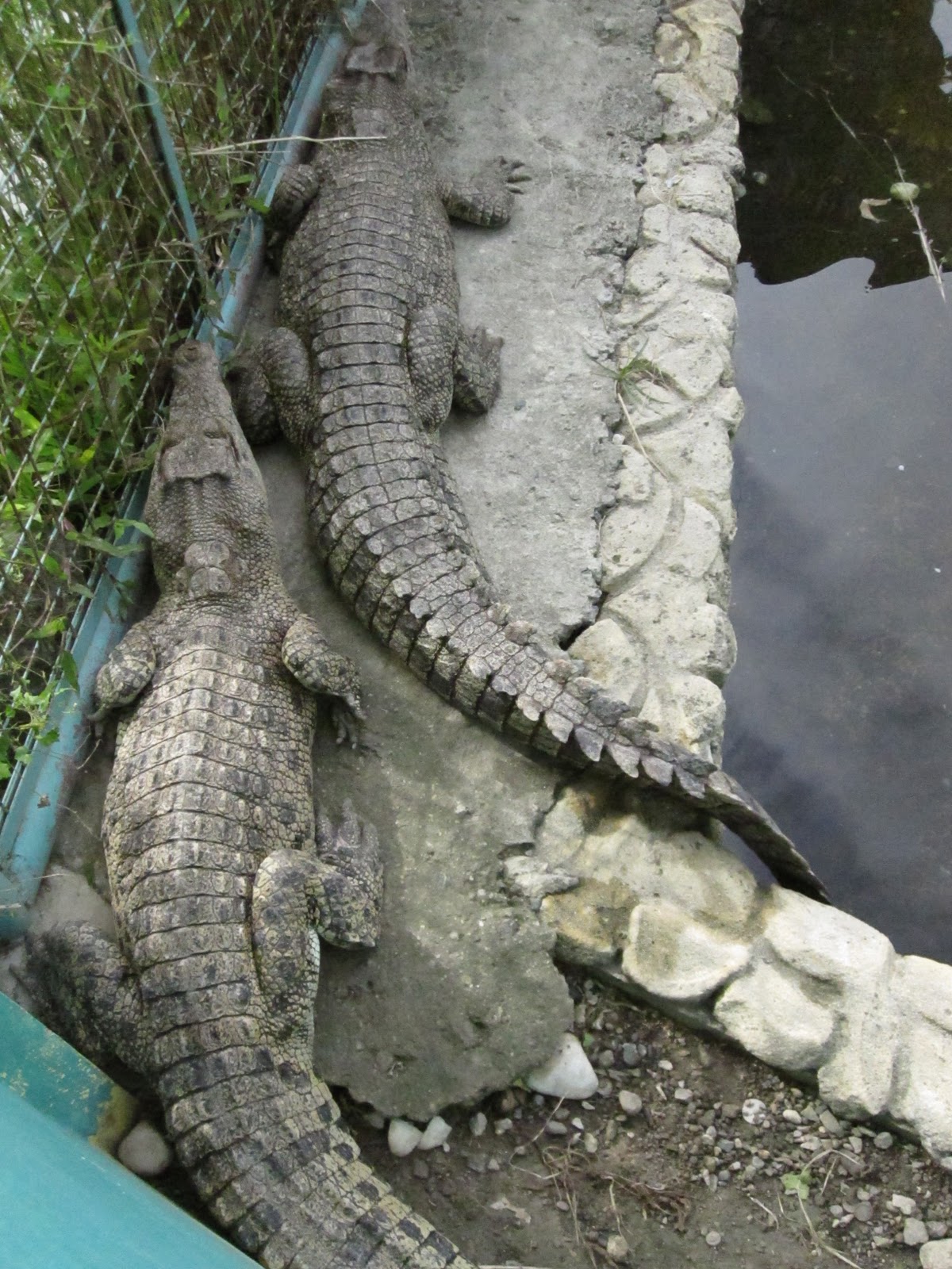Budget Dates: Trip: Pasig Rainforest Park