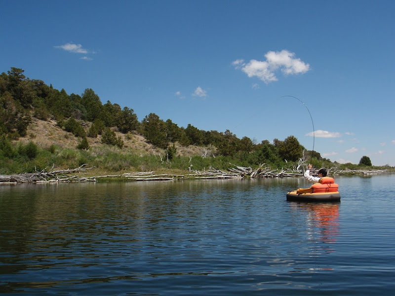 Southern Utah Fly Fishing ,Quiet Fly Fisher Guide Service & Fly Shop