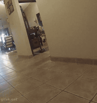 tong-hop-nhung-buc-anh-gif-vui-nhon-phan-13-7 tong-hop-nhung-buc-anh-gif-vui-nhon-phan-13-7