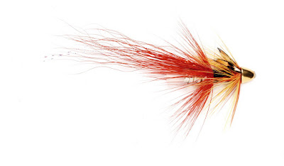 Choosing The Right Colour Of Salmon Fly