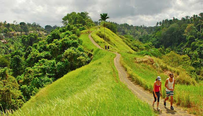 Hasil gambar untuk Bukit campuhan site:blogspot.com