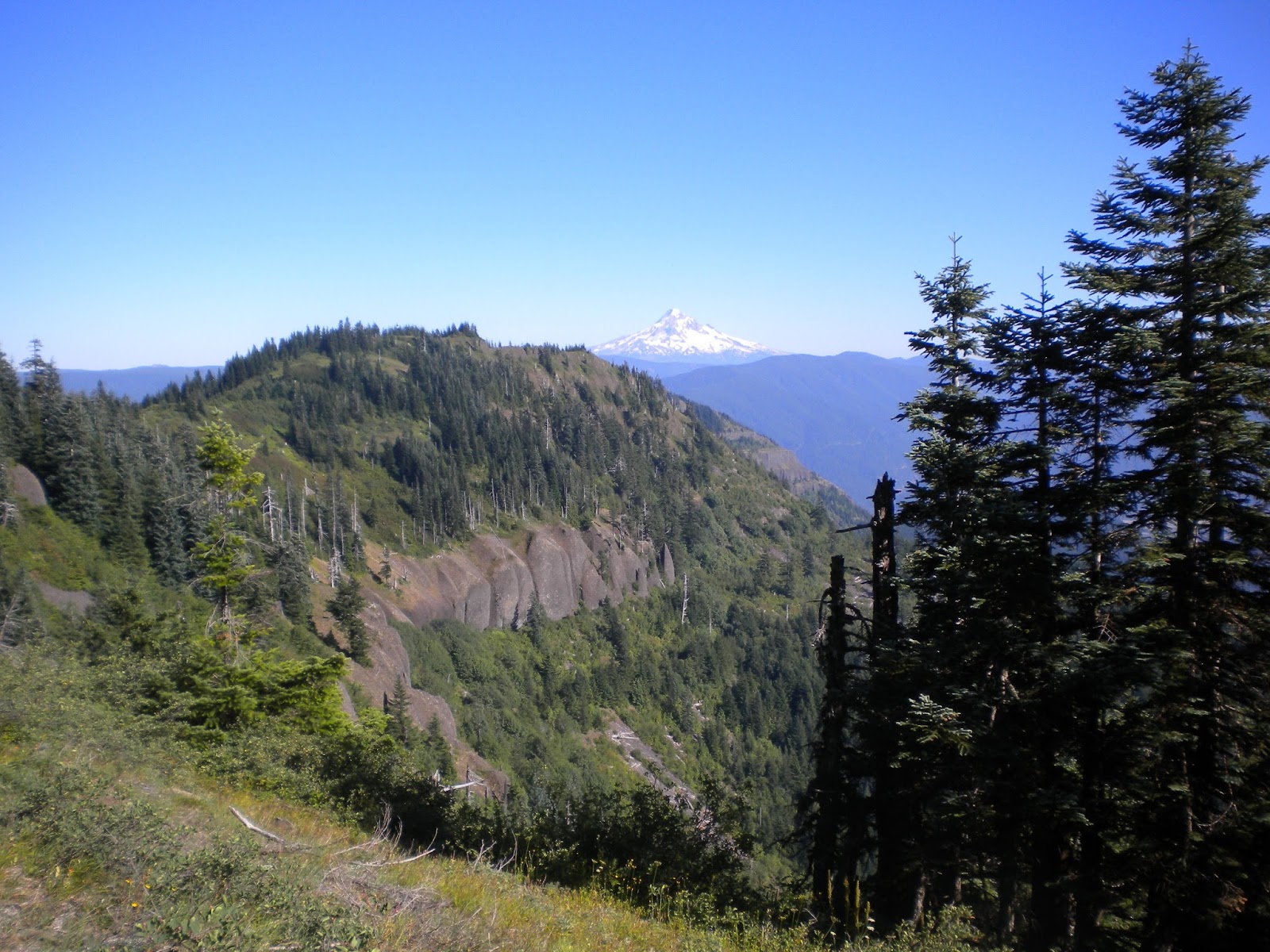 Rachel and Benny Hike the PCT Trout Lake to Cascade Locks