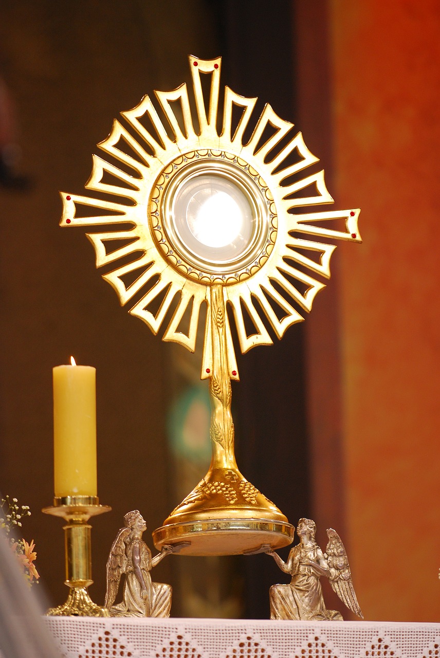 Perpetual Adoration - Go to Mary Blog
