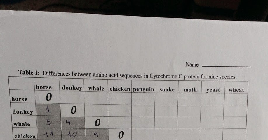 Liza's Science Lab E-notebook: L.11 Cytochrome C Comparison Lab