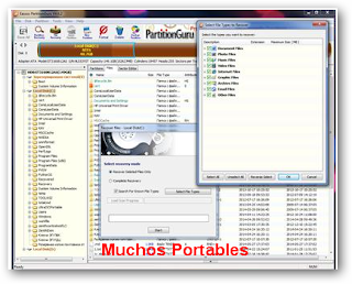 PartitionGuru Portable 