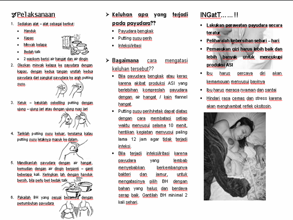 Anike Putri Mardani: LEAFLET PERAWATAN PAYUDARA PADA IBU MENYUSUI