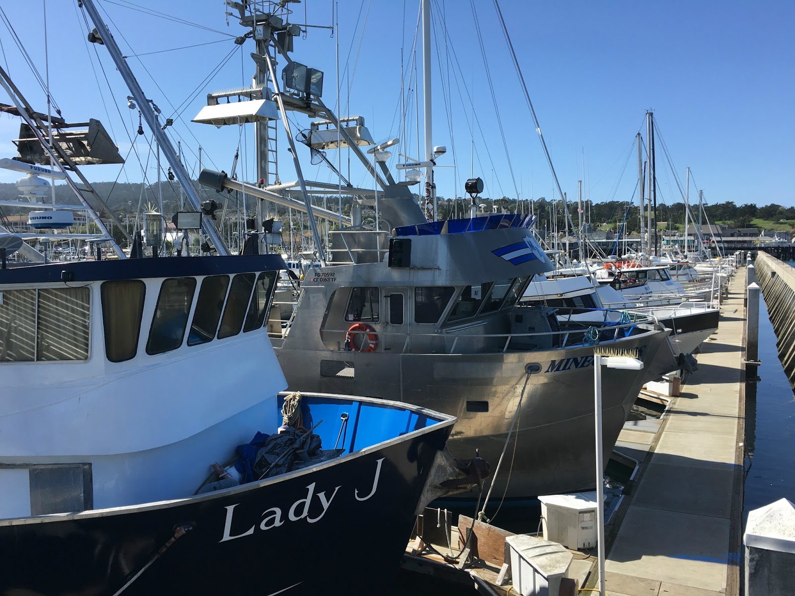 Adventures of a Home Town Tourist: Monterey's Fisherman's Wharf and