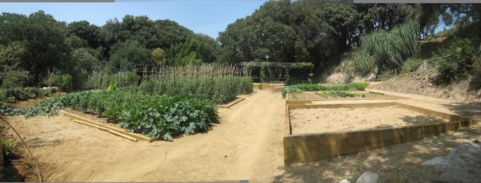 Mediterranean Gardens