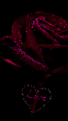 animation decent scraps code