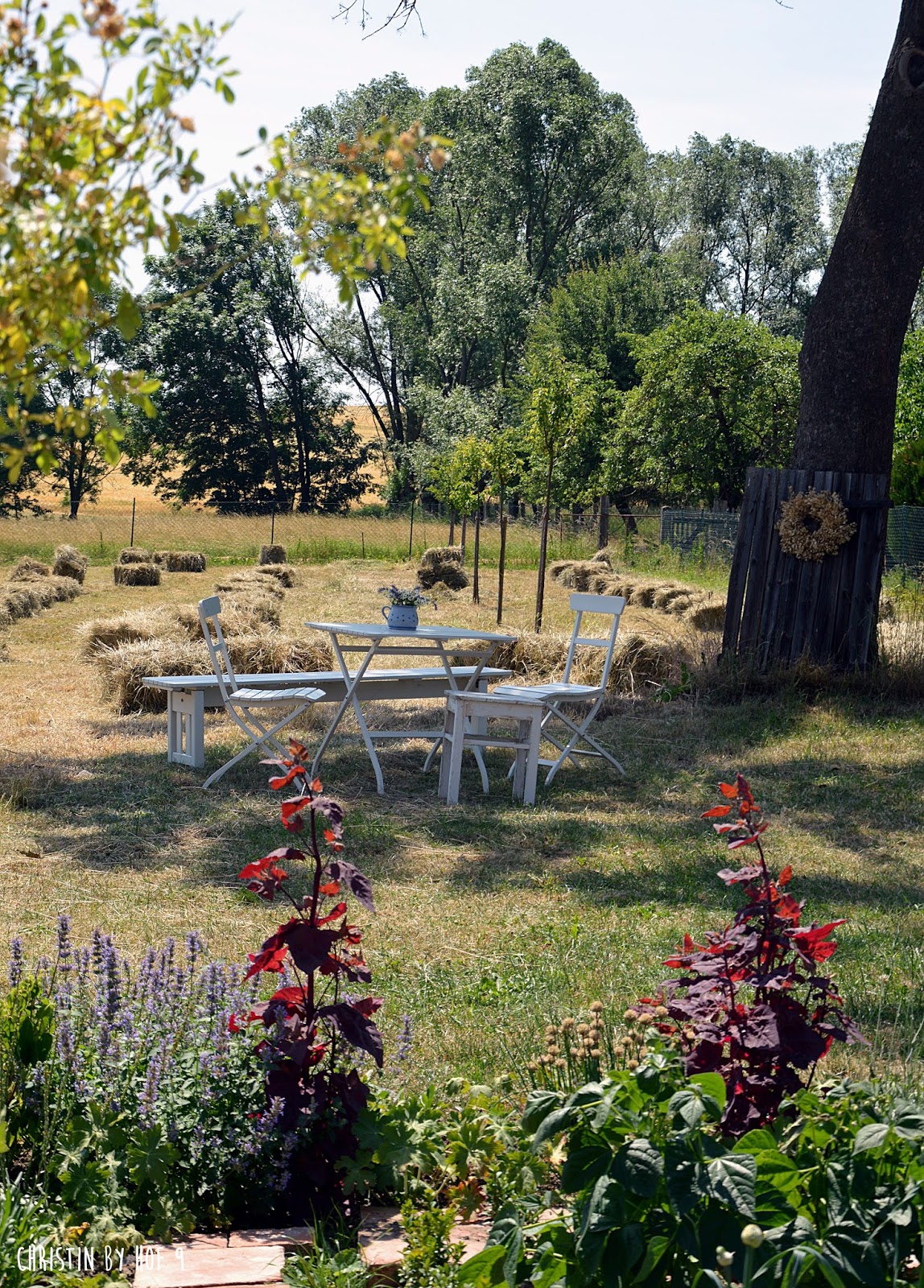 Hof 9 Heuernte Auf Hof 9 Und Der Kranz Im Juni