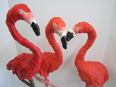 A Gaggle of Flamingos