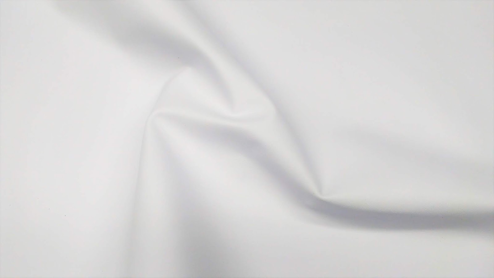 CURTIPIELES S.A.S. CUIDADOS Y PARA CUEROS BLANCO