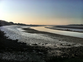 The Colne looking down-river