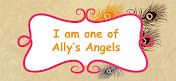 Ik ben DT-lid van Aly's Angels (start 1-1-18)