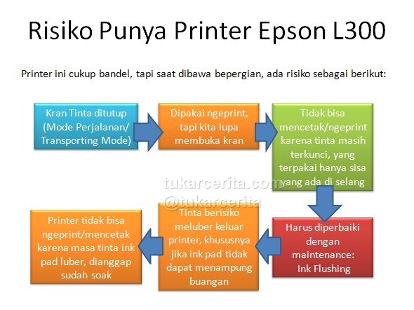 risiko printer epson L300