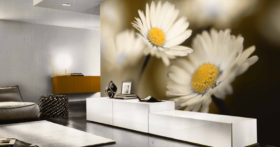 Murales decorativos para decorar paredes | MOBLES GUILLEN BLOG