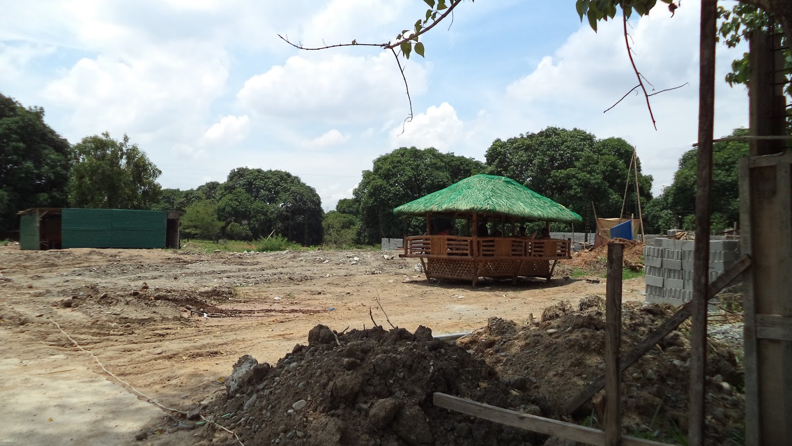 Pangasinan Properties For Sale Mango Farm along National Highway