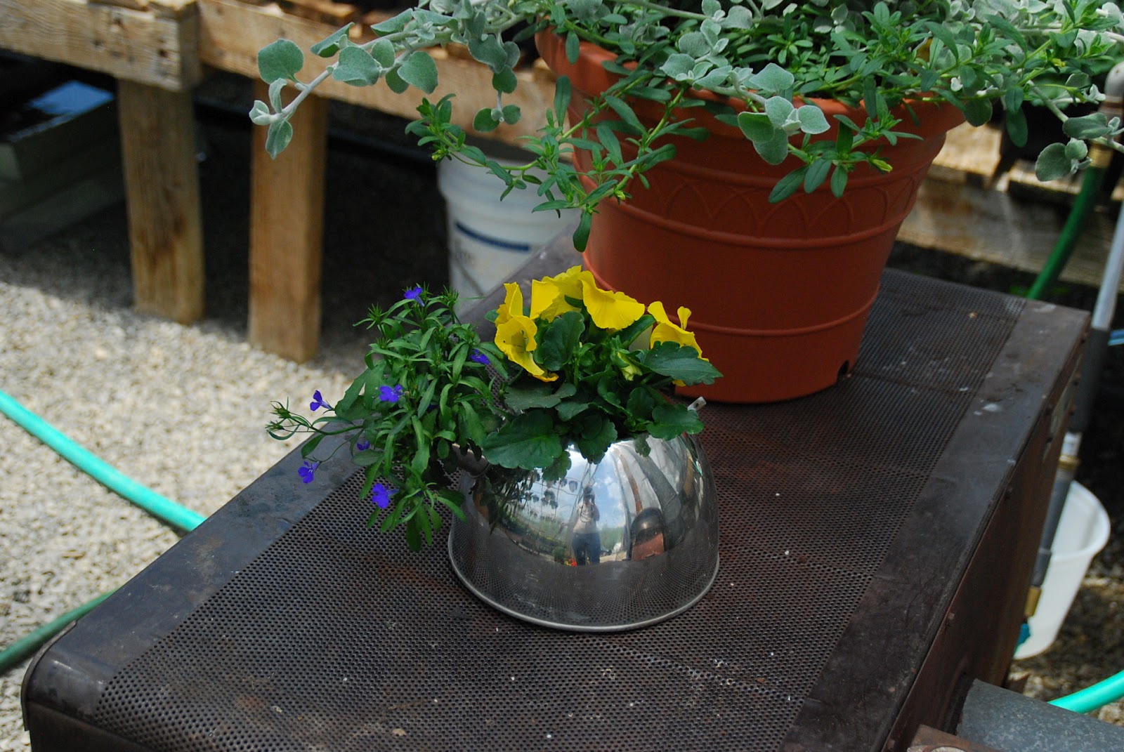 Amish Crossings with Karen Anna Vogel Inside “Katie Bylers” Amish