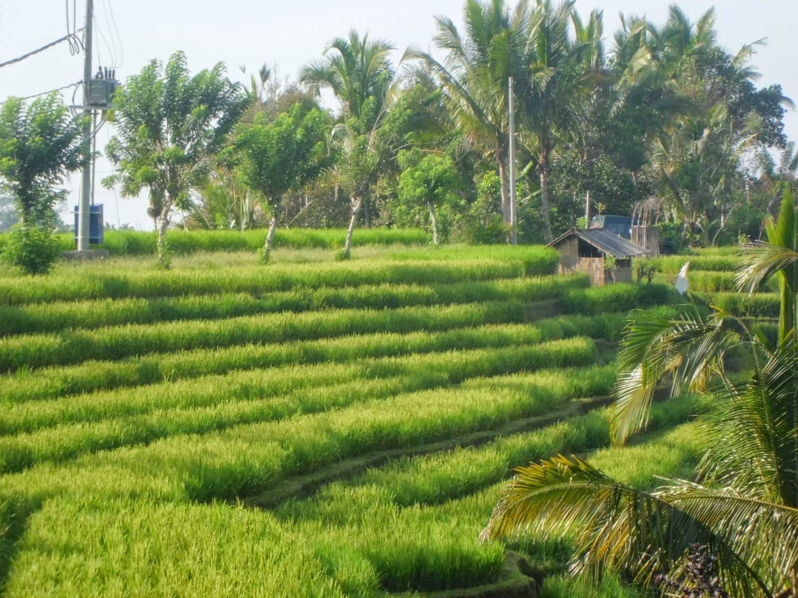 29+ Foto Pemandangan Desa Jaman Dulu