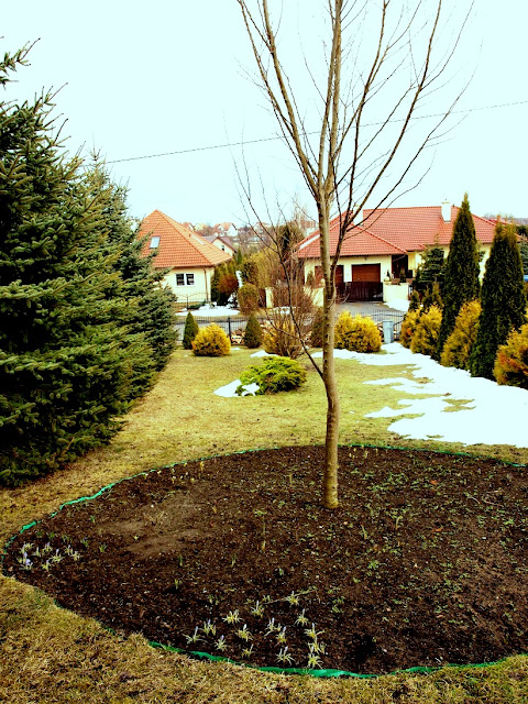 Życie jest jak ogród...: kwietnia 2013