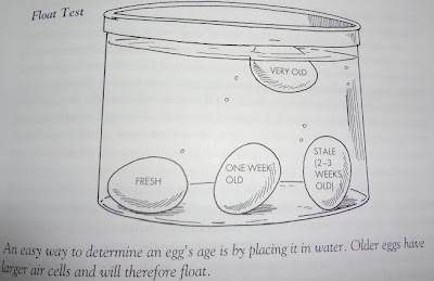Prospetimea ouălor sau ouălelor?