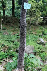 curug nangka bogor