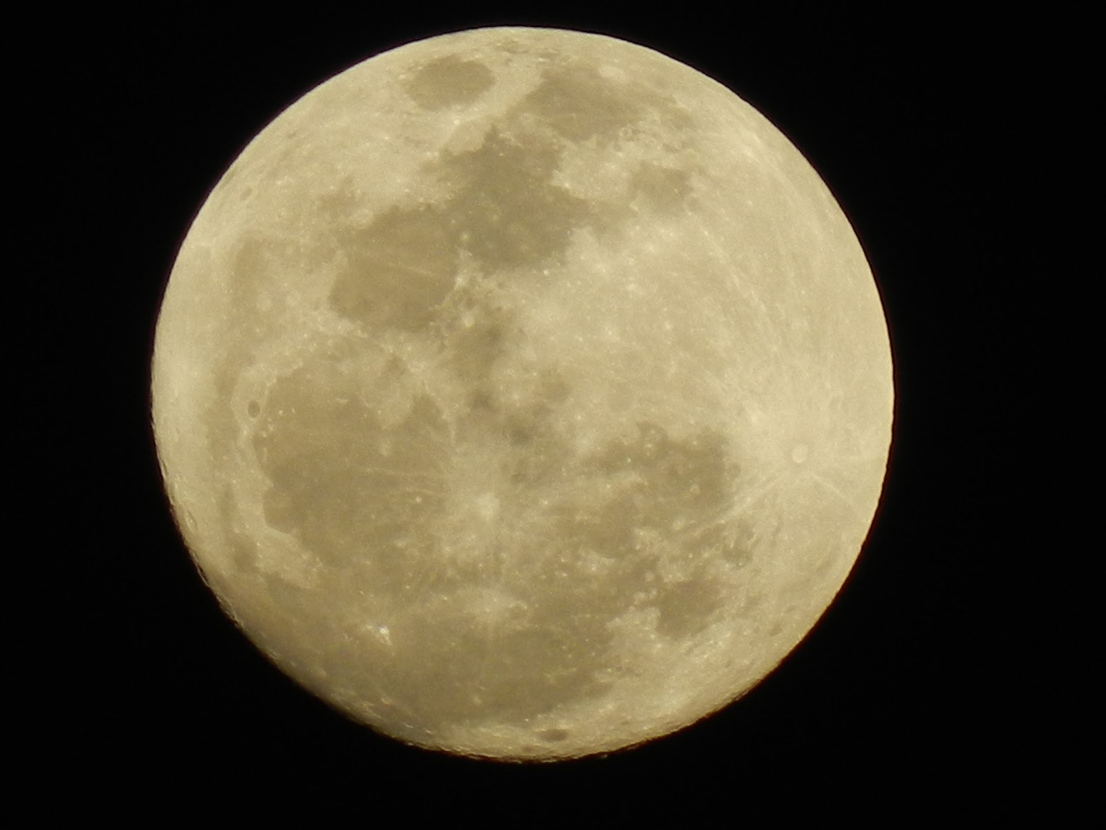 Ver Luna llena desde Miami