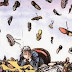 What is the Next Shoe to Drop?