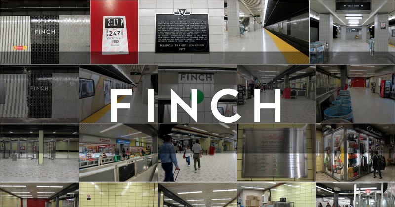 Station Fixation Finch