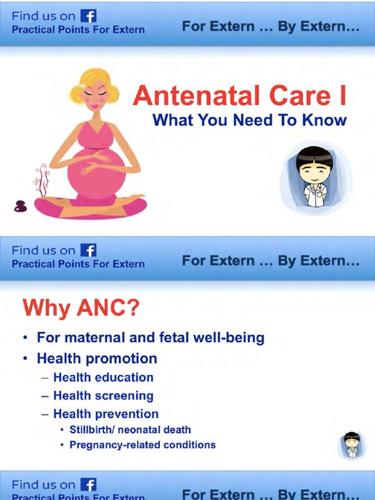 Thai Knows anc คือ