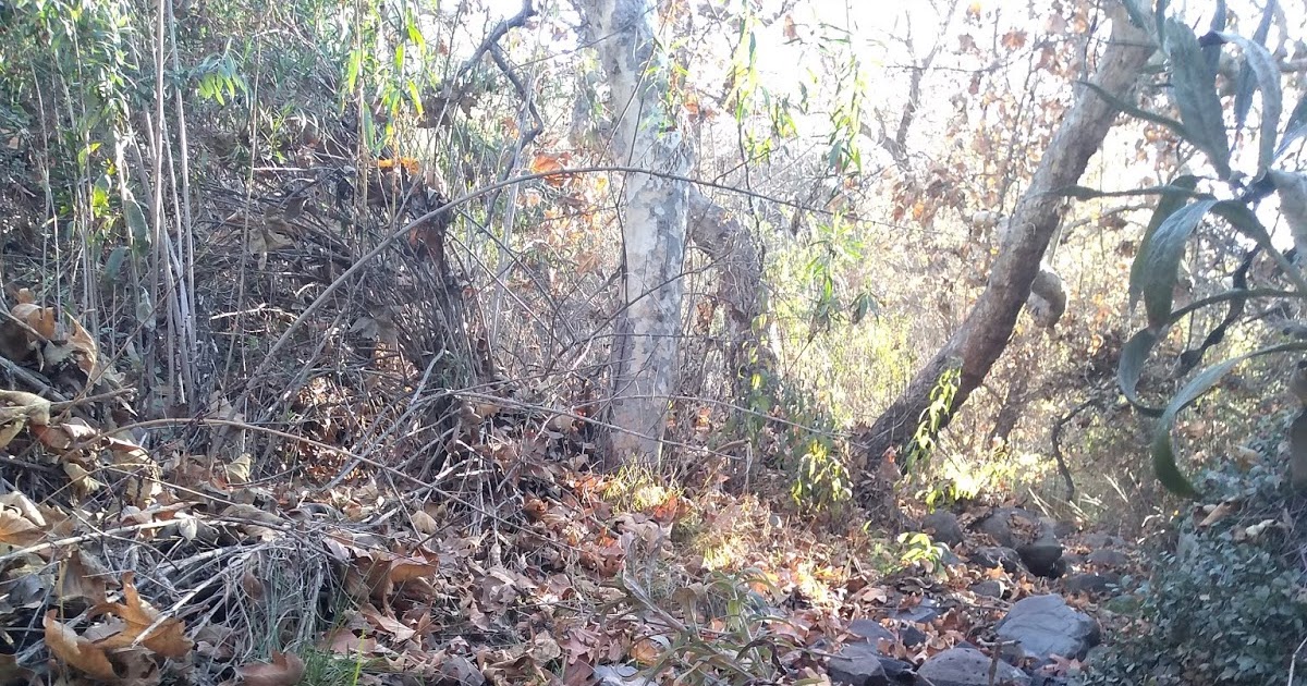 Source and Summit Hikes De Luz Canyon