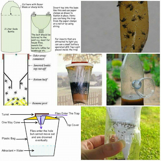 101 solutions to get rid of gnats in my house and outdoor fast with pictures Best Homemade