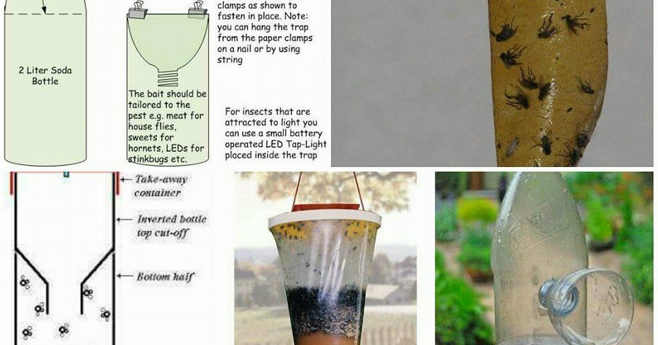 101 solutions to get rid of gnats in my house and outdoor fast with