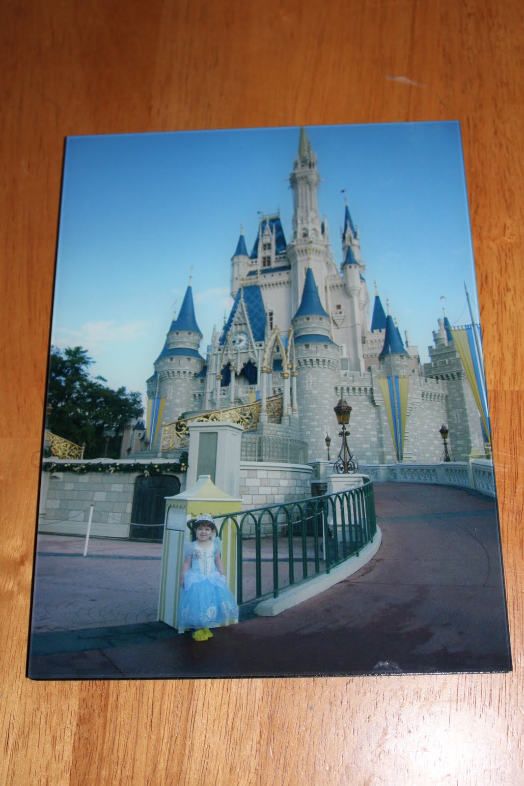 Susan's Disney Family Fracture printed glass picture frames