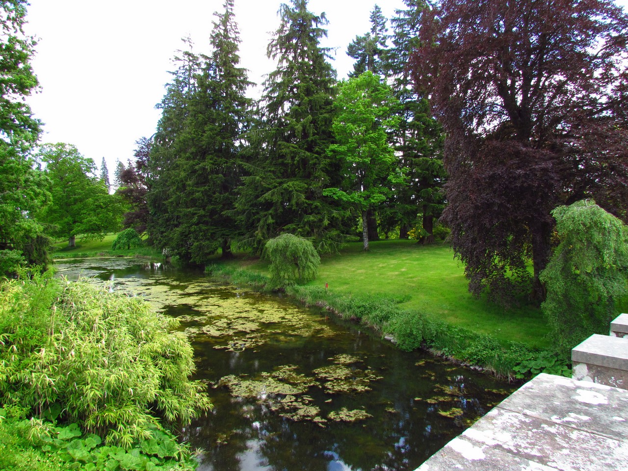 Gratitude Grace Growth Drummond Gardens