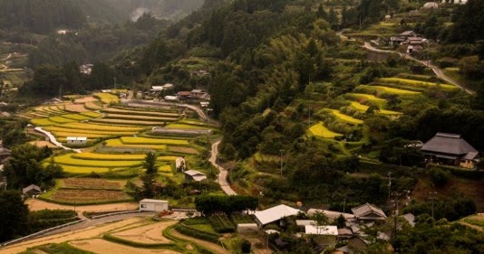 Pola Persebaran Desa Bentuk Dan Pembangunan Desa Konsep Geografi