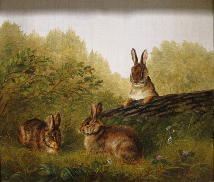 Simply Snickers: Running rampant with rabbit blog prompts