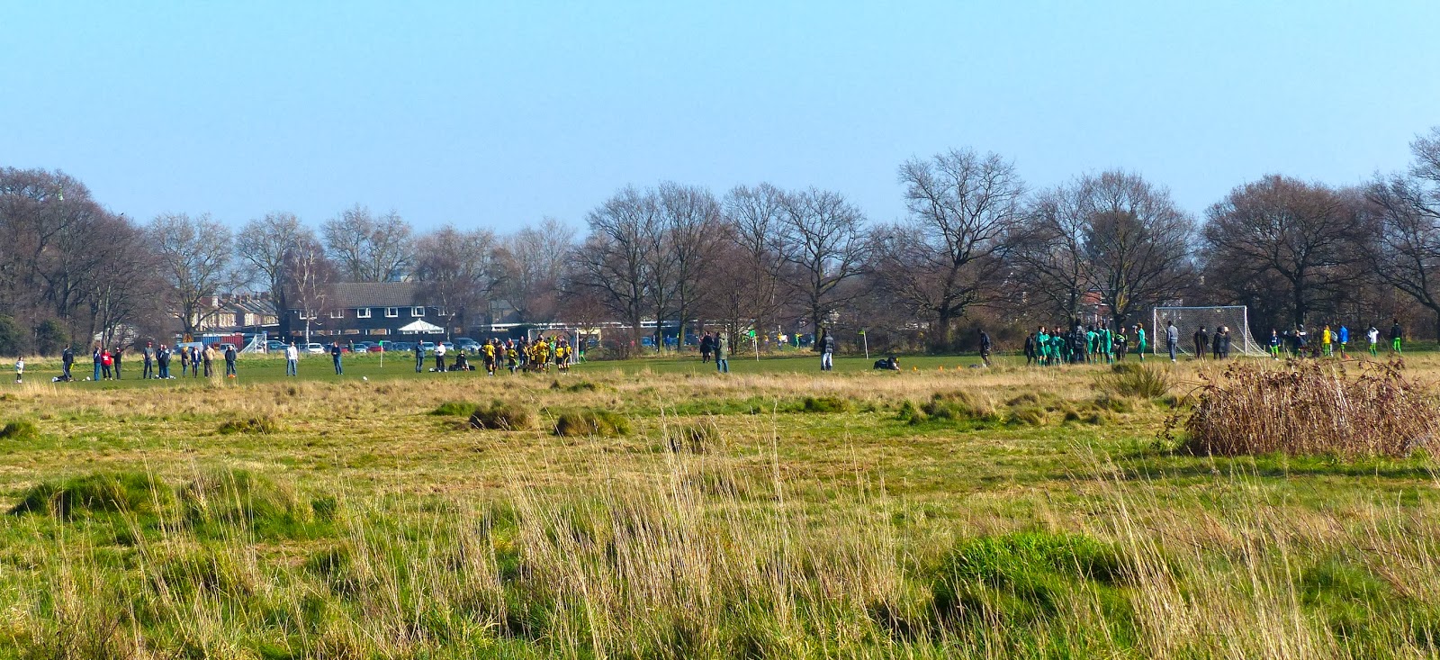 The Urban Birder Wanstead Flats