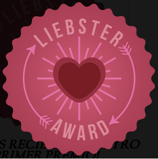 PREMIO LIEBSTER   2013