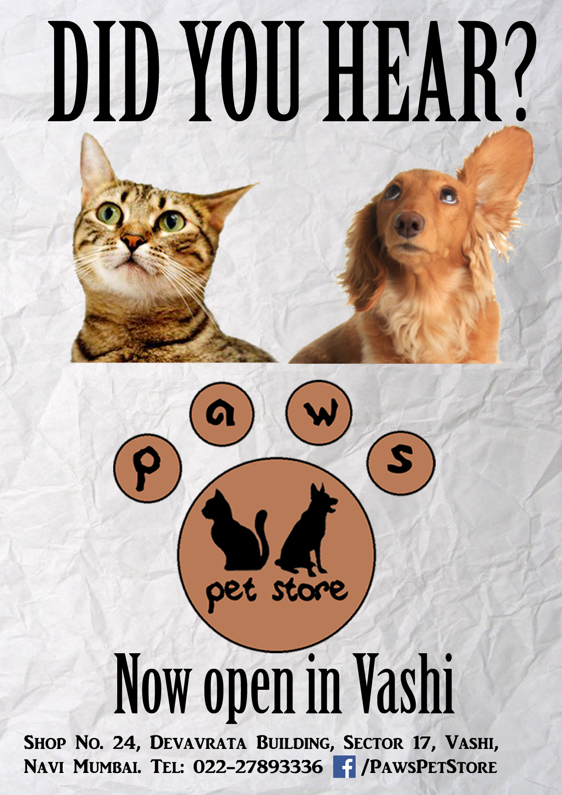 PAWS Pet Store (Ad Design Project)