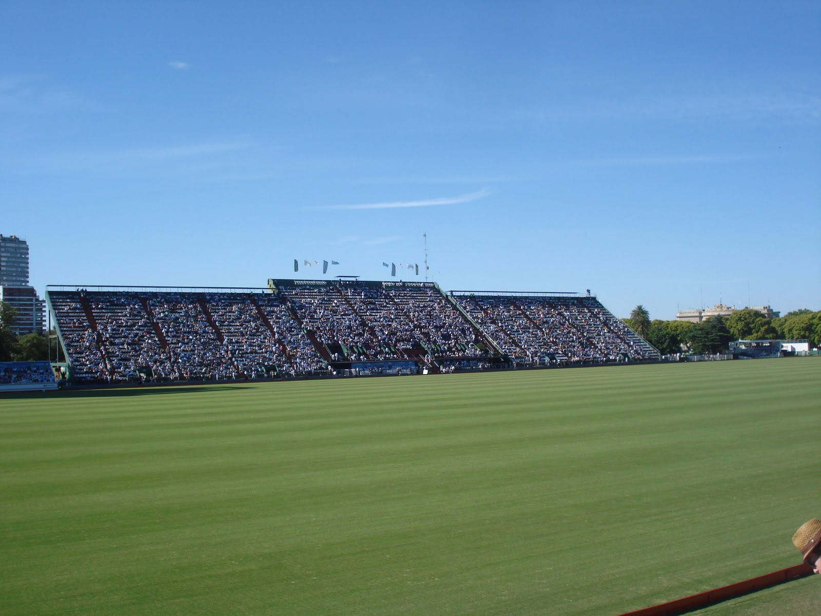 In the land of beef and malbec... A Day at the Polo Field