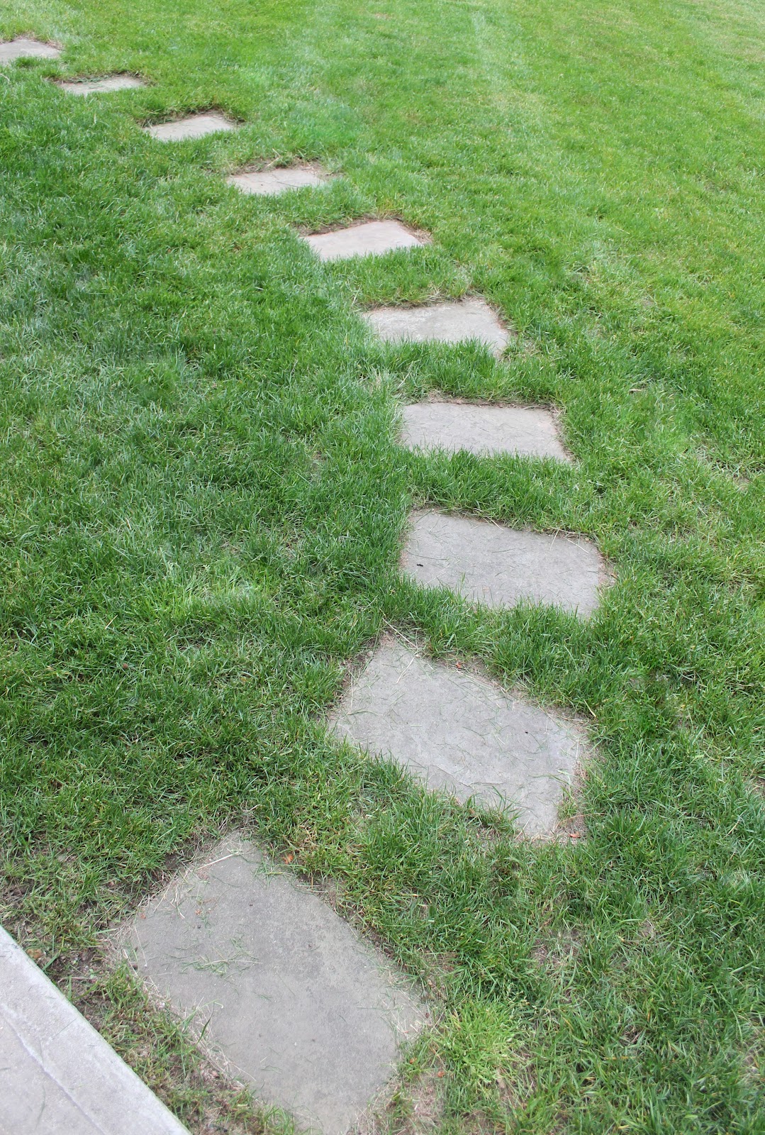 Setting A Stepping Stone Path Shine Your Light