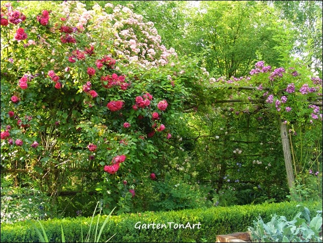 GartenTonArt Ein wunderbarer Nachmittag im Garten Hohenstein