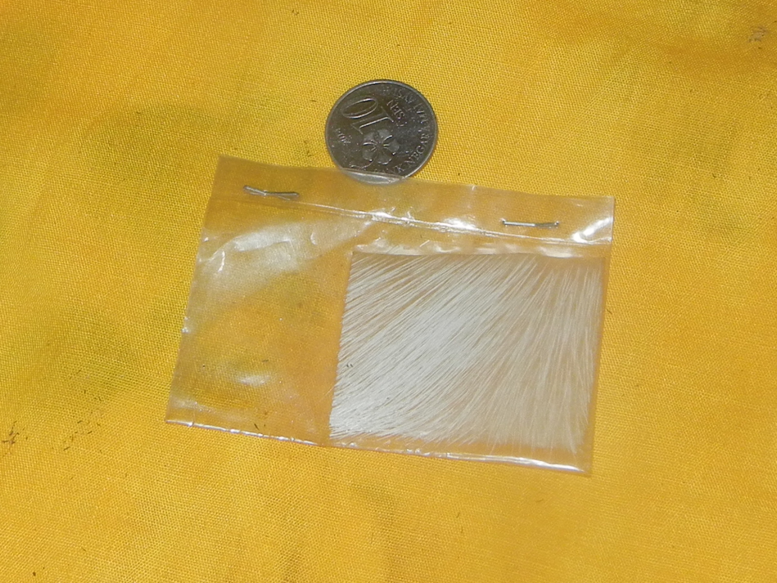 GELIGA KINABALU: KULIT KIJANG PUTIH