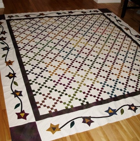 Nines and Vines Quilt Quilted by Gail Mitchell, Pattern by Kathie Holland of Quilting Company