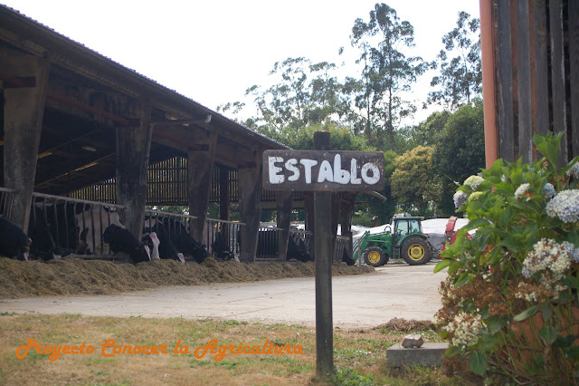 Casa Grande de Xanceda